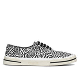 Celine Black Canvas Low Top Sneakers